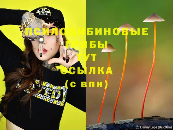 дурь Аша