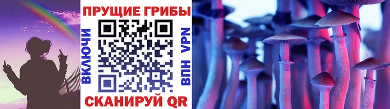Галлюциногенные грибы мицелий  MEGA ТОР  Черноголовка  купить  